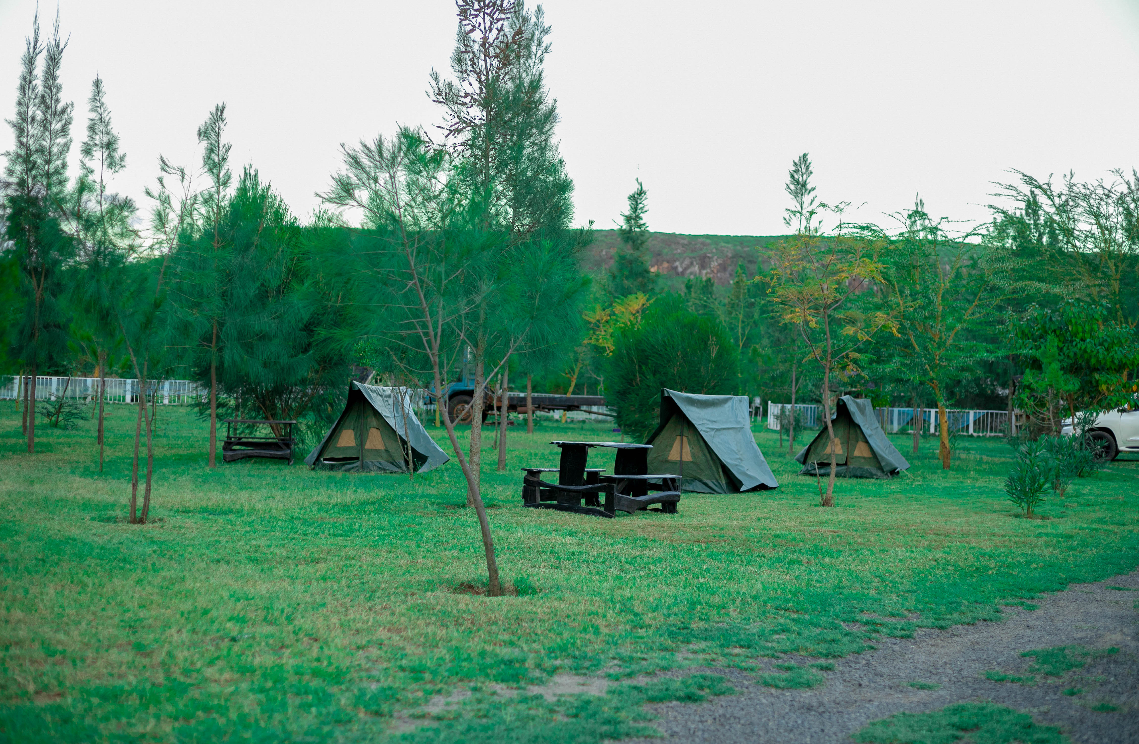 Camping Experience Image 2